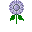 File:Moonflower.png
