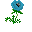 File:Geranium Flower Growth.gif